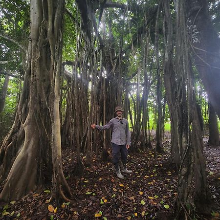 Hospedaje Y Tours Reina Arriera Amazonas Colombia Macedonia 외부 사진