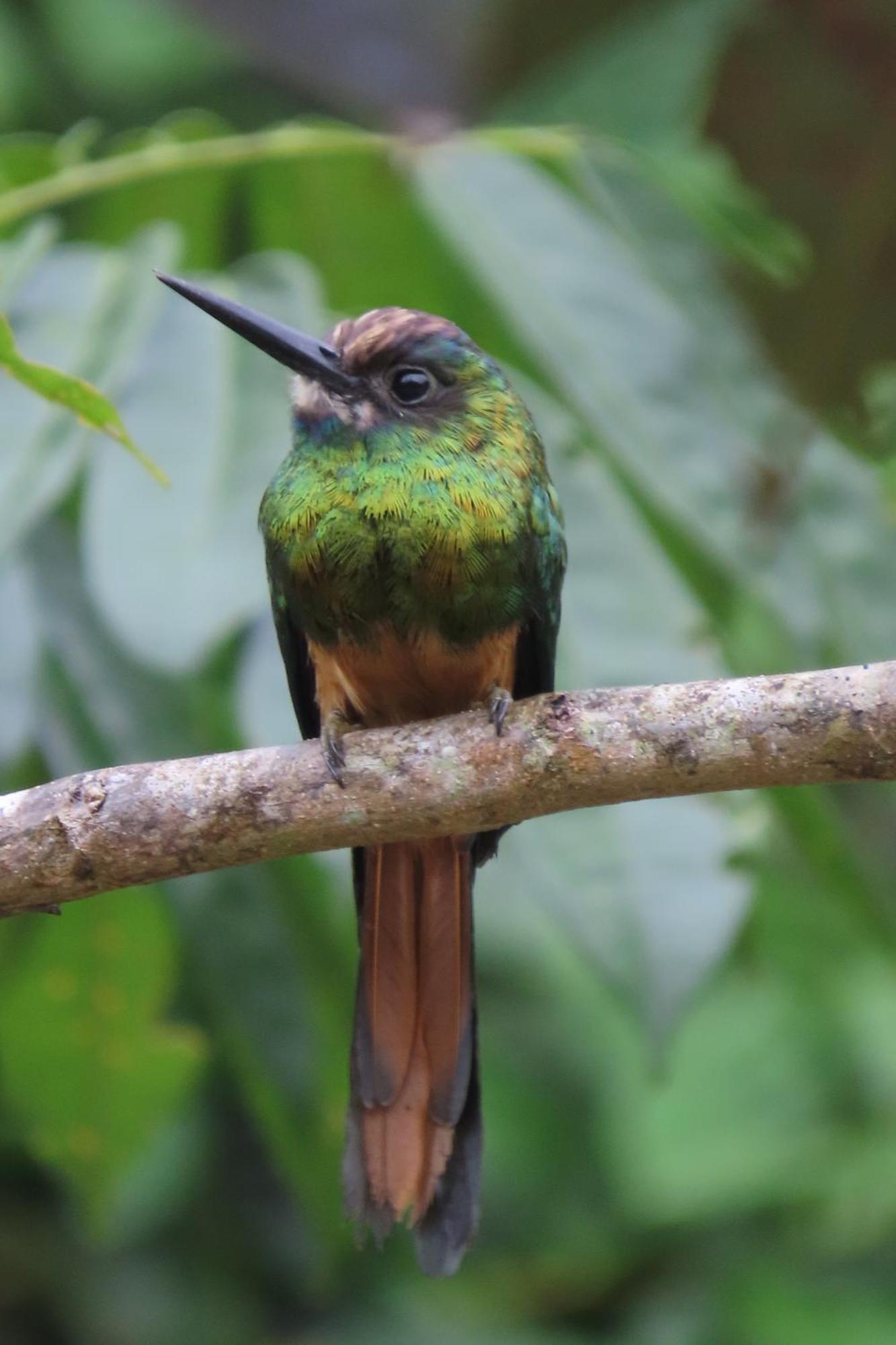 Hospedaje Y Tours Reina Arriera Amazonas Colombia Macedonia 외부 사진