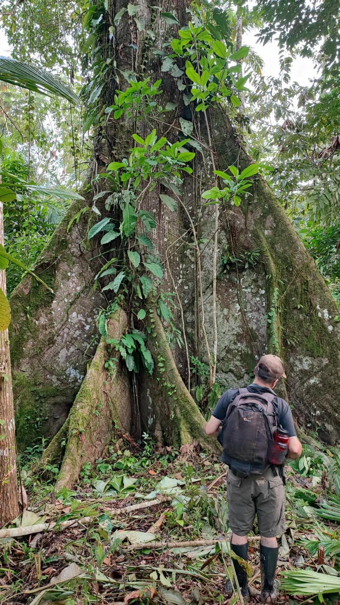 Hospedaje Y Tours Reina Arriera Amazonas Colombia Macedonia 외부 사진