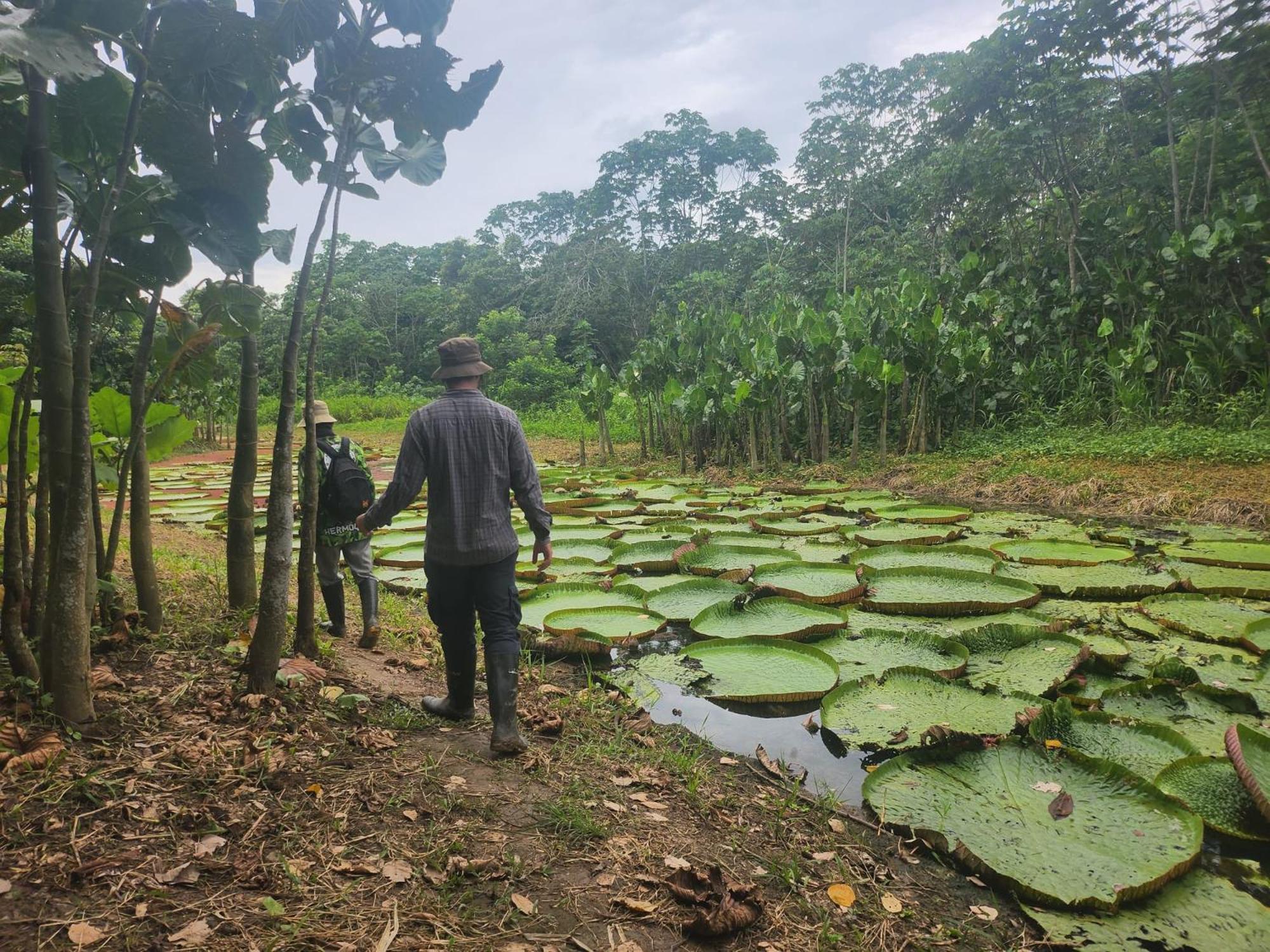 Hospedaje Y Tours Reina Arriera Amazonas Colombia Macedonia 외부 사진