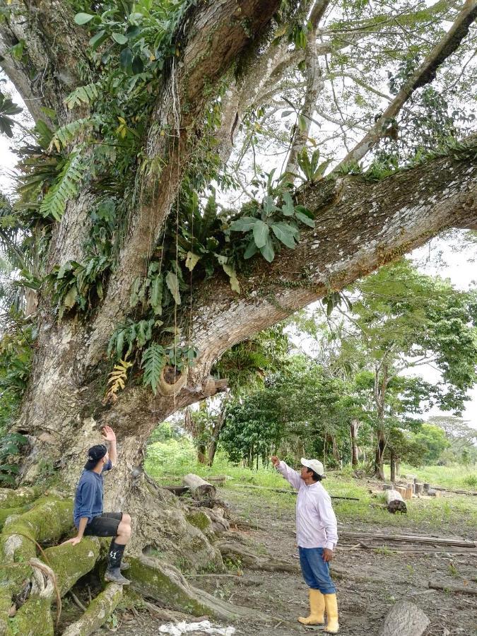Hospedaje Y Tours Reina Arriera Amazonas Colombia Macedonia 외부 사진